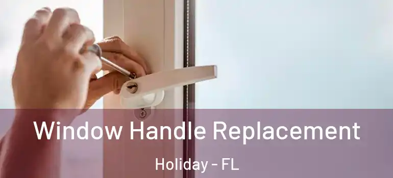  Window Handle Replacement Holiday - FL