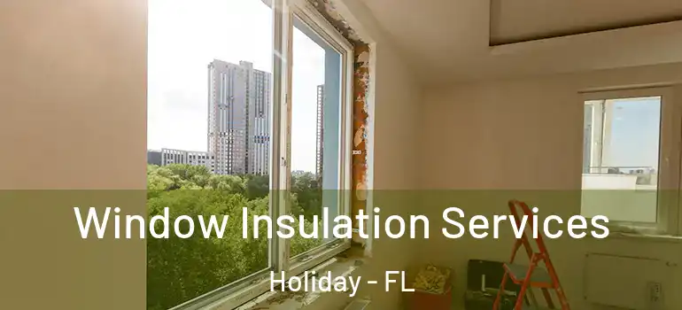  Window Insulation Services Holiday - FL