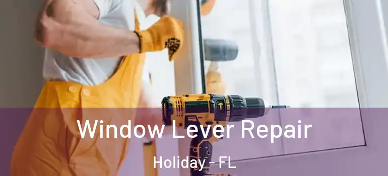  Window Lever Repair Holiday - FL