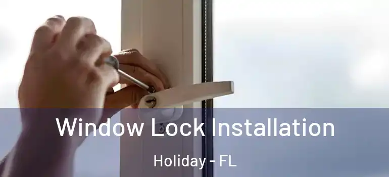  Window Lock Installation Holiday - FL