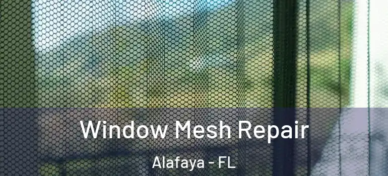  Window Mesh Repair Alafaya - FL