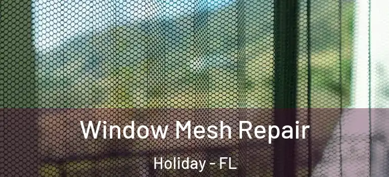  Window Mesh Repair Holiday - FL