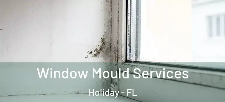 Window Mould Services Holiday - FL