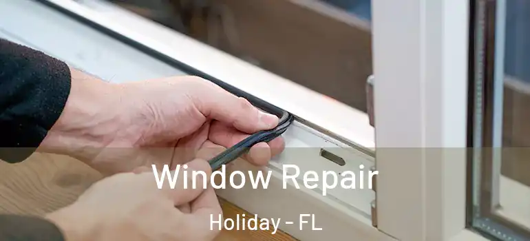  Window Repair Holiday - FL