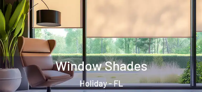  Window Shades Holiday - FL