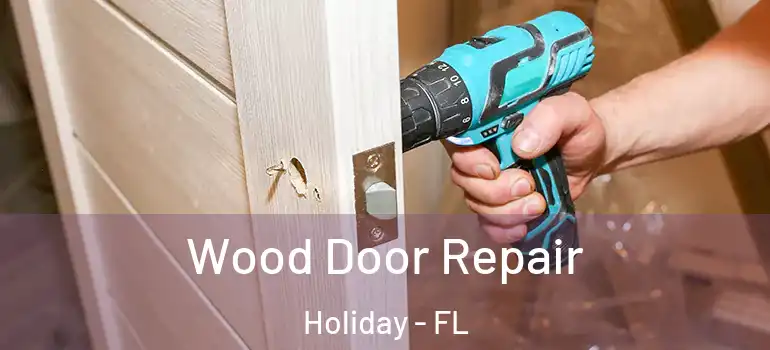  Wood Door Repair Holiday - FL